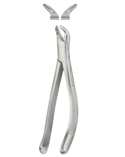 Tooth Forceps for Children, American Pattern